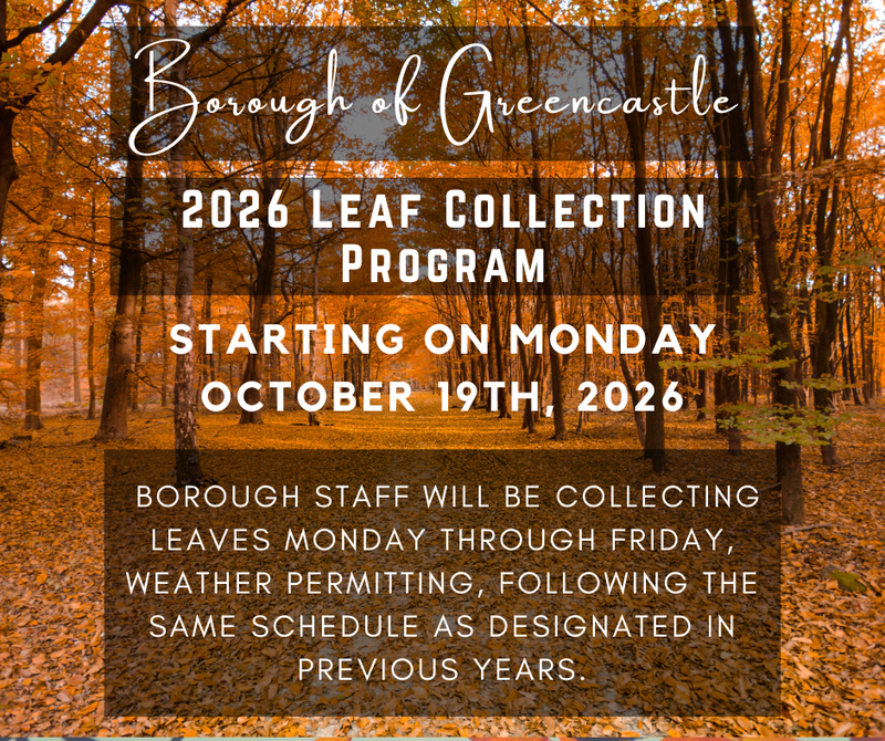 2026 Leaf Collection Post